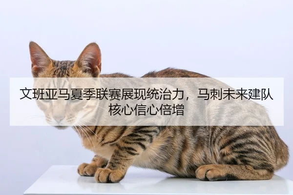文班亚马夏季联赛展现统治力，马刺未来建队核心信心倍增
